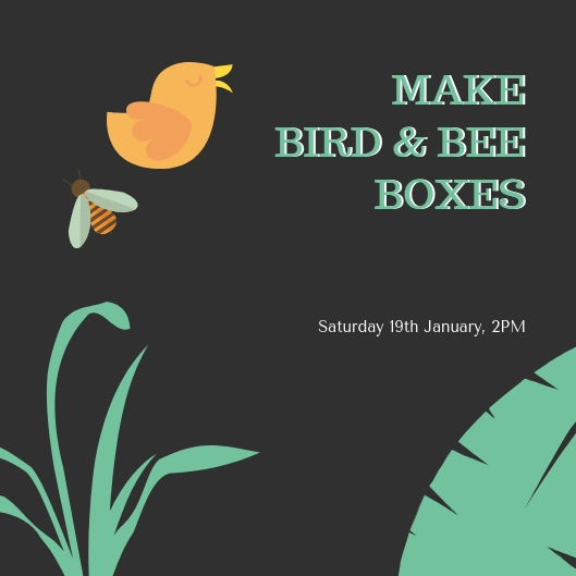 Bird and bee boxes Make bird and bee boxes at St Mary's Community Garden on 19th January from 2PM
