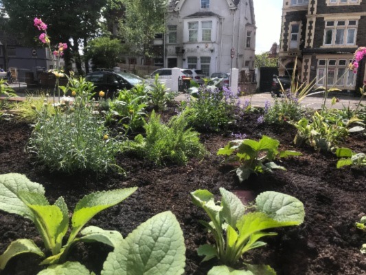 Bridge Garden planting bed