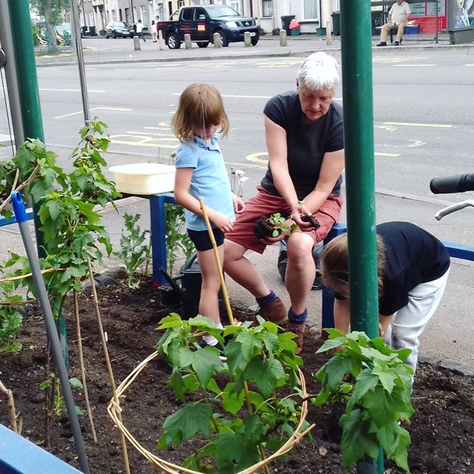 Growing incredible edibles at Maindee Library